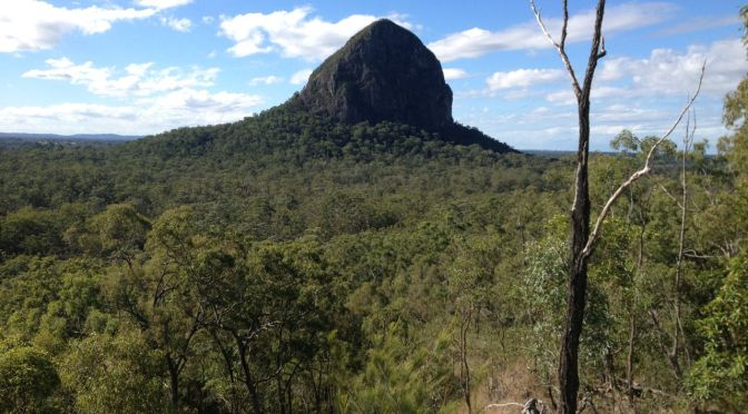Mooloorah River NP, Dularcha NP, Tibrogargan Circuit